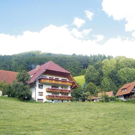Geigerbauernhof Apartman Mühlenbach Kültér fotó