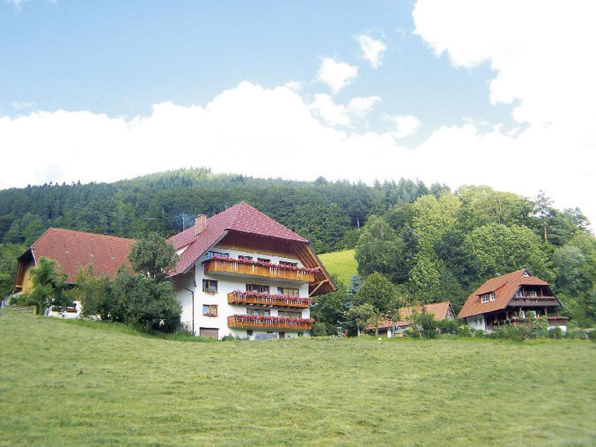 Geigerbauernhof Apartman Mühlenbach Kültér fotó