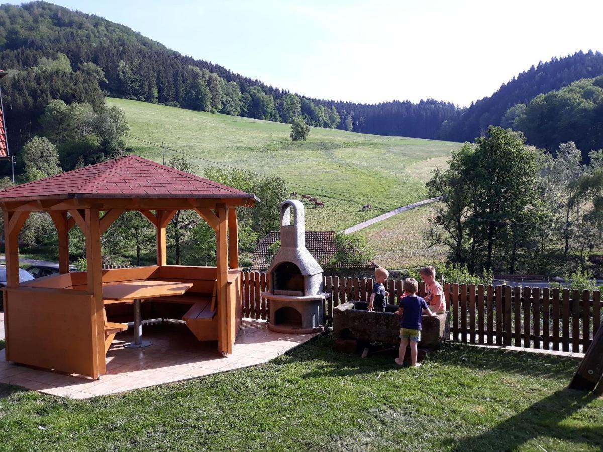 Geigerbauernhof Apartman Mühlenbach Kültér fotó