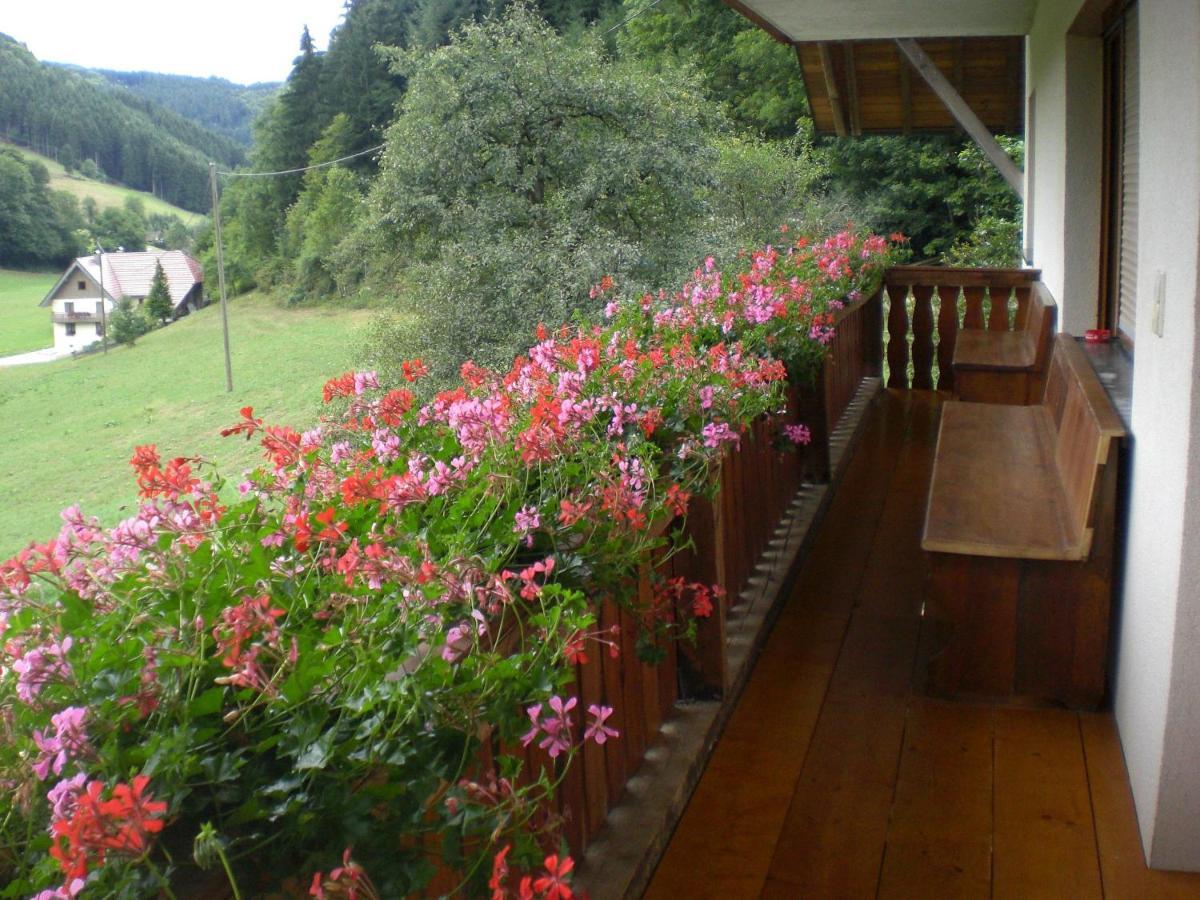 Geigerbauernhof Apartman Mühlenbach Kültér fotó
