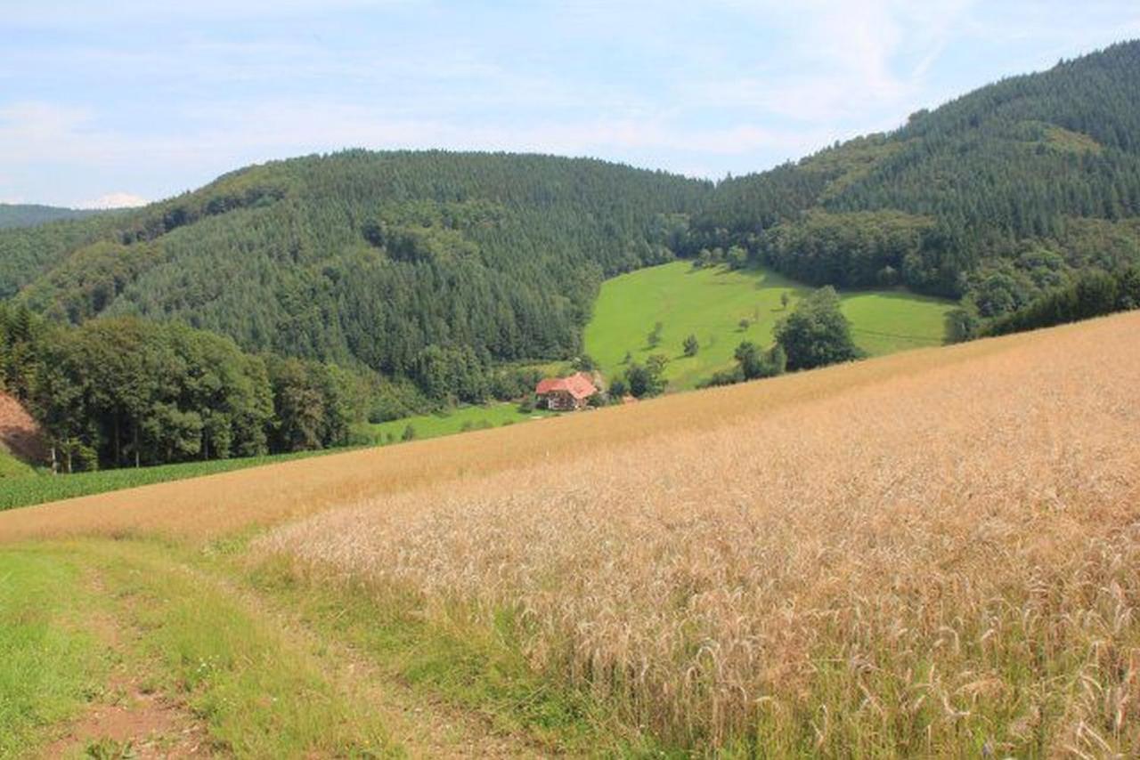Geigerbauernhof Apartman Mühlenbach Kültér fotó